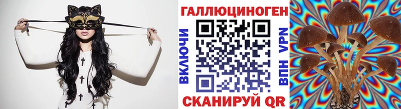 Купить где  Краснослободск  Псилоцибиновые грибы прущие грибы 