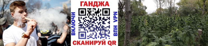 Бошки марихуана семена Краснослободск